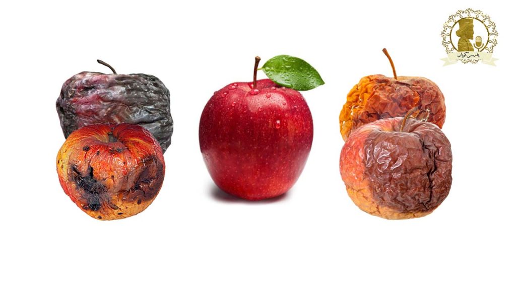 دوستی