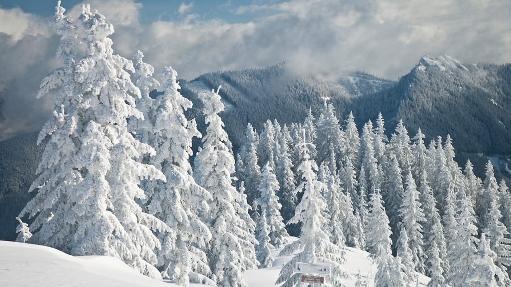 چله بزرگ زمستان