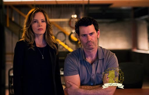 پلیس مخفی played